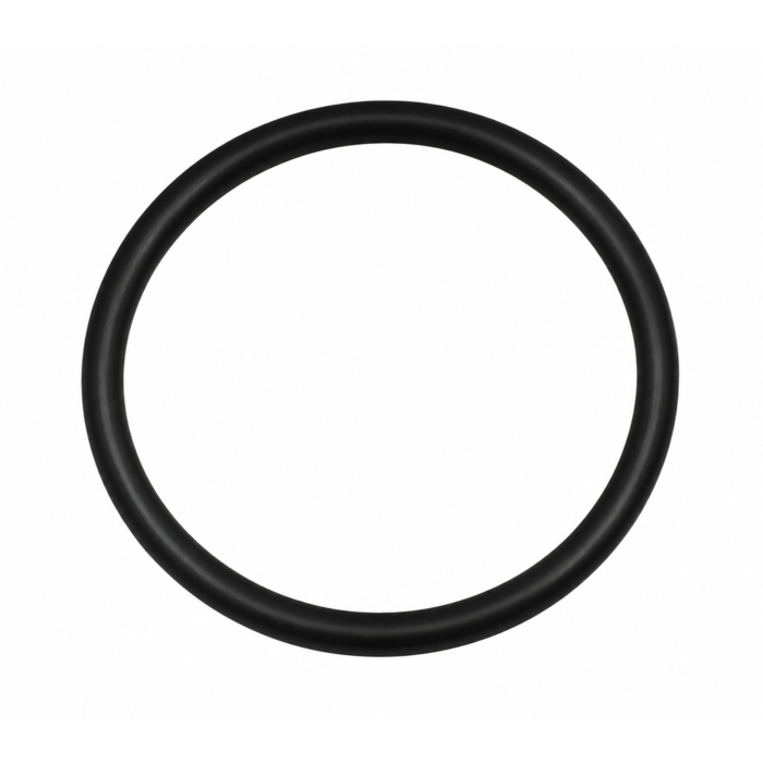 O-Ring (P-64685)