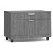 PL1012 TWO DRAWER PERSONAL CABINET- NEWPORT GRAY