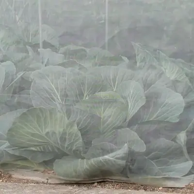 Insect Netting Veggiemesh