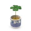 Figurine Potted Clover