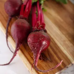 BEETS RED OG | 25 LBS