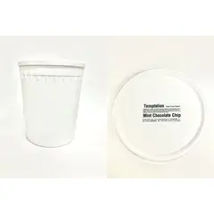 DF ICE CREAM MINT CHOCOLATE CHIP | 3 GAL