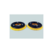 Brush, 13" Poly Set Of 2