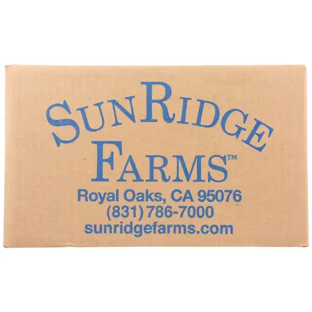 BLUEBERRIES DARK CHOCOLATE | 10 LBS