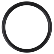 O-Ring (OR-PP-859)
