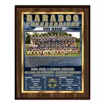 Vividcolor AIO Team Picture Plaques with Digital Metallic Border