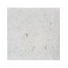 24X24 Shell Stone