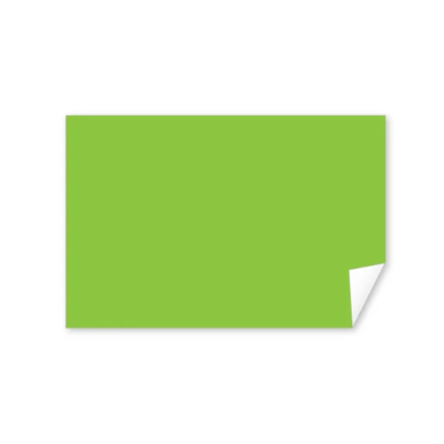 Plain Label - 4" x 6" Rectangle - Fluorescent Green