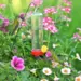 Armstrong Milling Planter Box Hummingbird Feeder