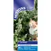Catmint (Seed)