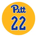 1.5" Circle Bat Knob Decals