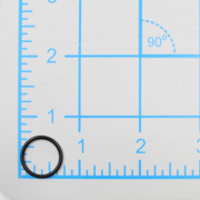 O-Ring (P-64507)