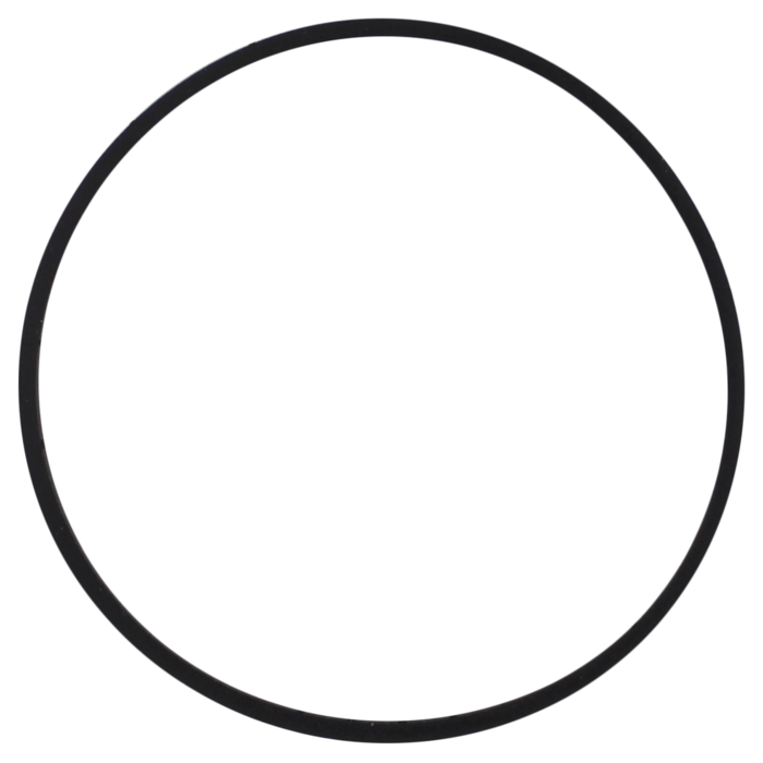 O-Ring (OR-PP-802S)