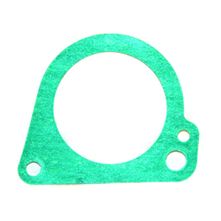 Water Pump Gasket