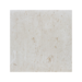 18X18 Shell Stone