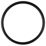 O-Ring (OR-PP-164)
