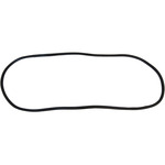 Windshield Gasket
