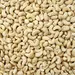 CASHEWS RAW WHOLE 320 OG | 50 LBS