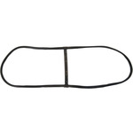 Windshield Gasket