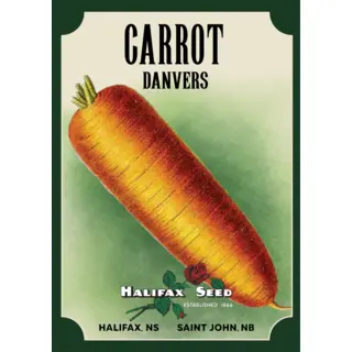 Heritage Packet: Carrot - Danvers (Seed)