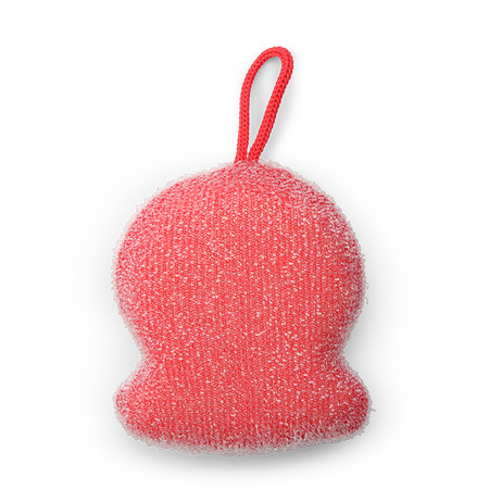 Sponge Octopus
