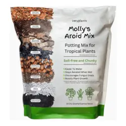 Veryplants Molly's Aroid Mix