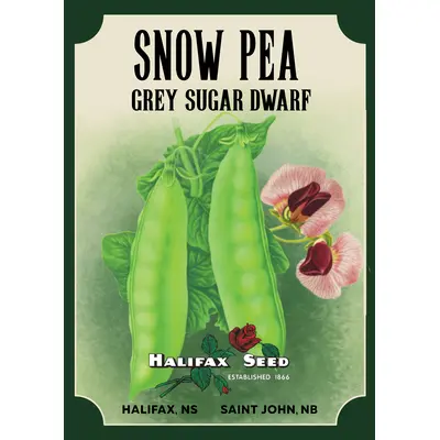 Heritage Packet: Pea - Grey Sugar Dwarf (Seed)