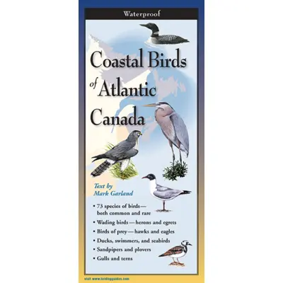 Coastal Birds Of Atlantic Canada