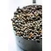 BEANS LENTILS FRENCH INDIGO OG | 25 LBS