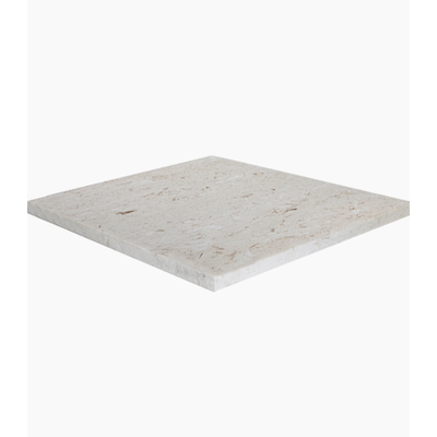 24X24 Shell Stone