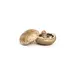 MUSHROOM PORTABELLA OG | 5 LBS