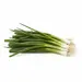 ONIONS GREEN SCALLION OG | 12 CT