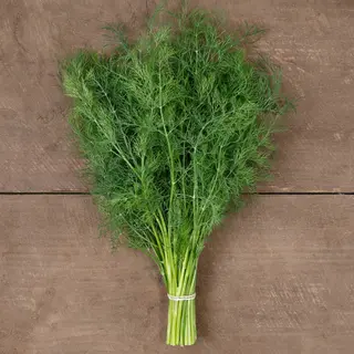 Herb - Dill - Ceres (Organic Seed)