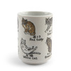 Teacup Japanese Cats