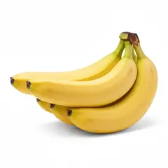 BANANAS FAIR TRADE OG | 40 LBS