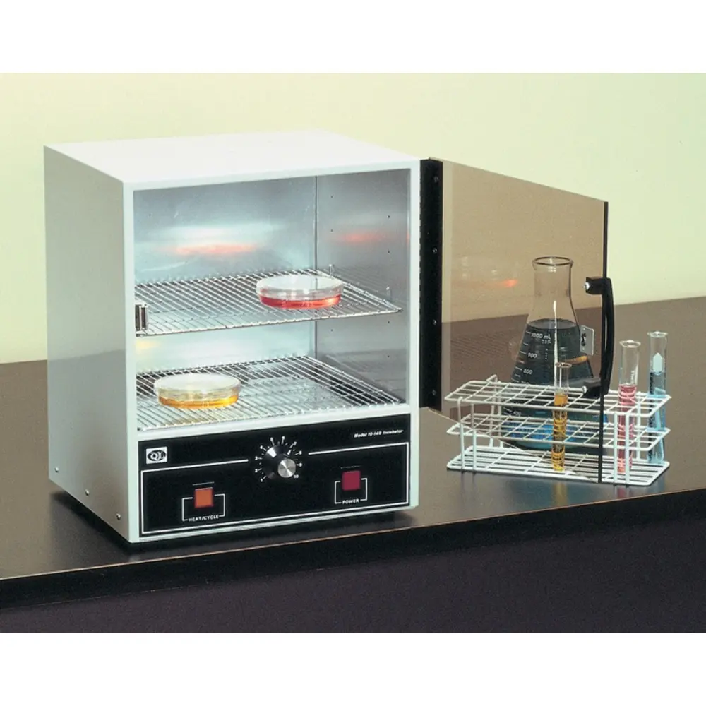 Economy Analog and Digital Incubators