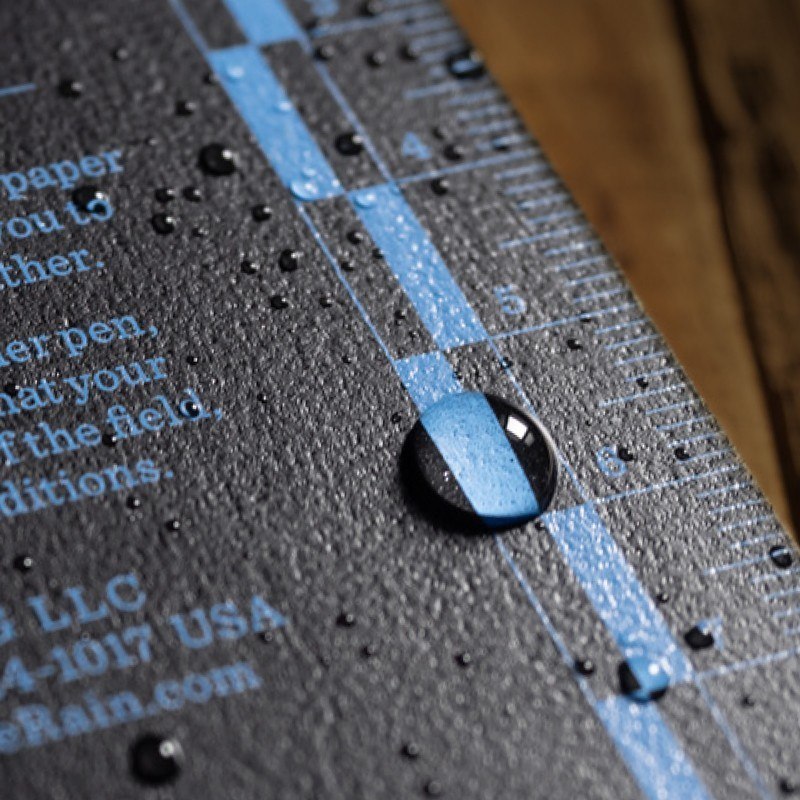 Close up of back cover evidence rulers.