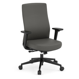 69821 - APEX MID BACK EXECUTIVE CHAIR- CHARCOAL
