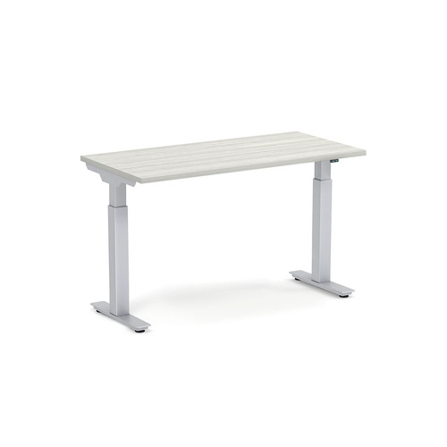 Echo Electric Sit-Stand Desk 24" X 48" - Silver Birch