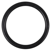 O-Ring (OR-PP-1124)
