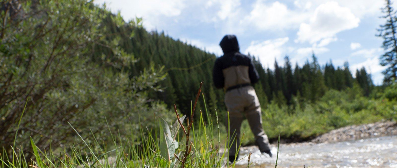 Fishing guide standing in river with line in the water.