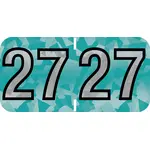 PMA Holographic Compatible Yearcode 97100 Label Rolls