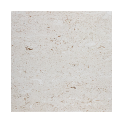 Shell Stone