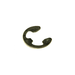 Rat. Ring