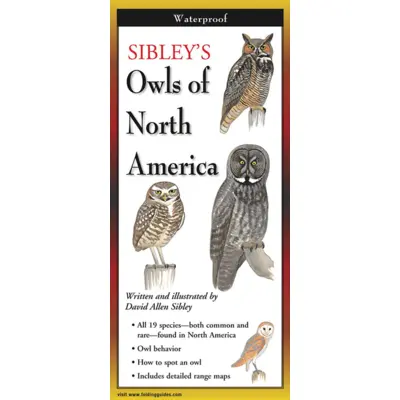 Sibley's Owls Of North America