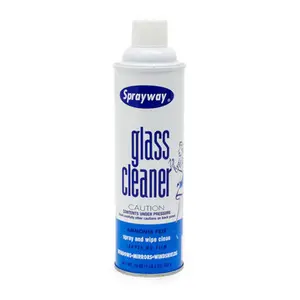 ACP Inc Detail Supplies - Aerosol Glass Cleaner