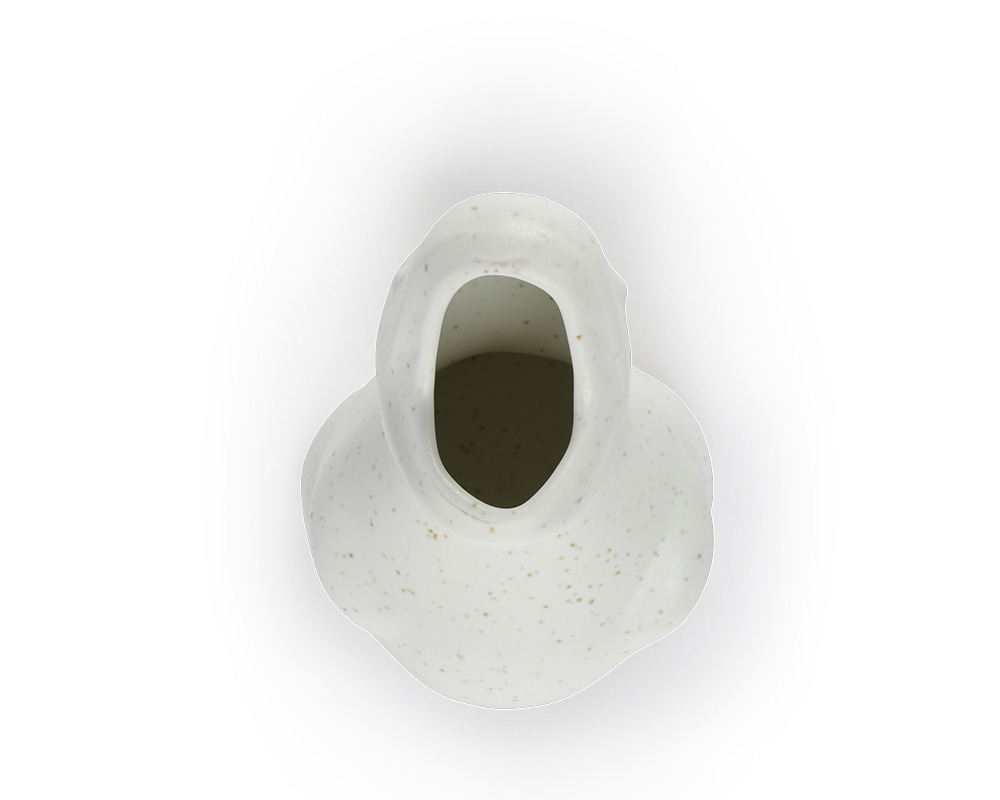 Container Dino 5.25" Zakkusaurus White