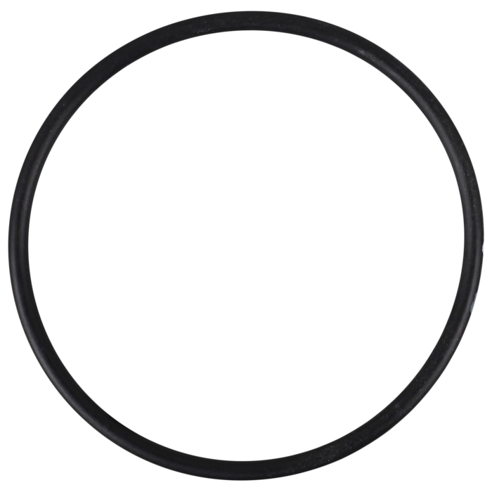 O-Ring (OR-PP-9907)