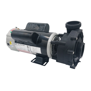 LX 48WUA 230V 2 Speed Pump 10-48WUA2002