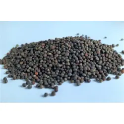 Mumm's Collard Sprouts